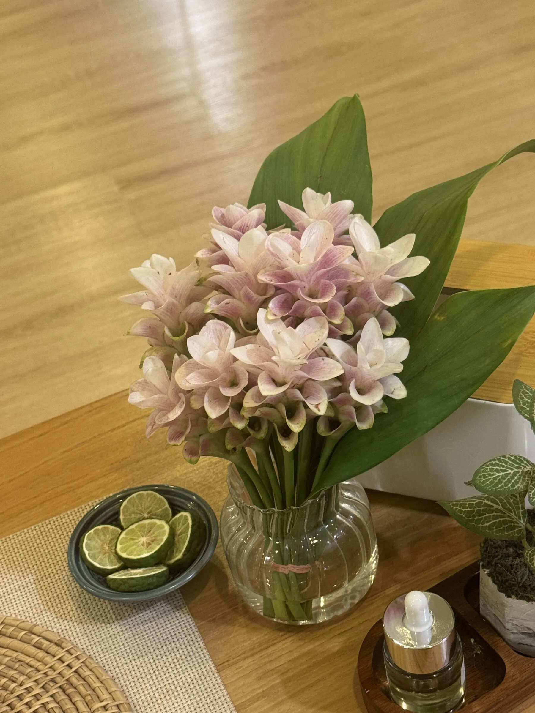 A quiet café scene in Chiang Mai