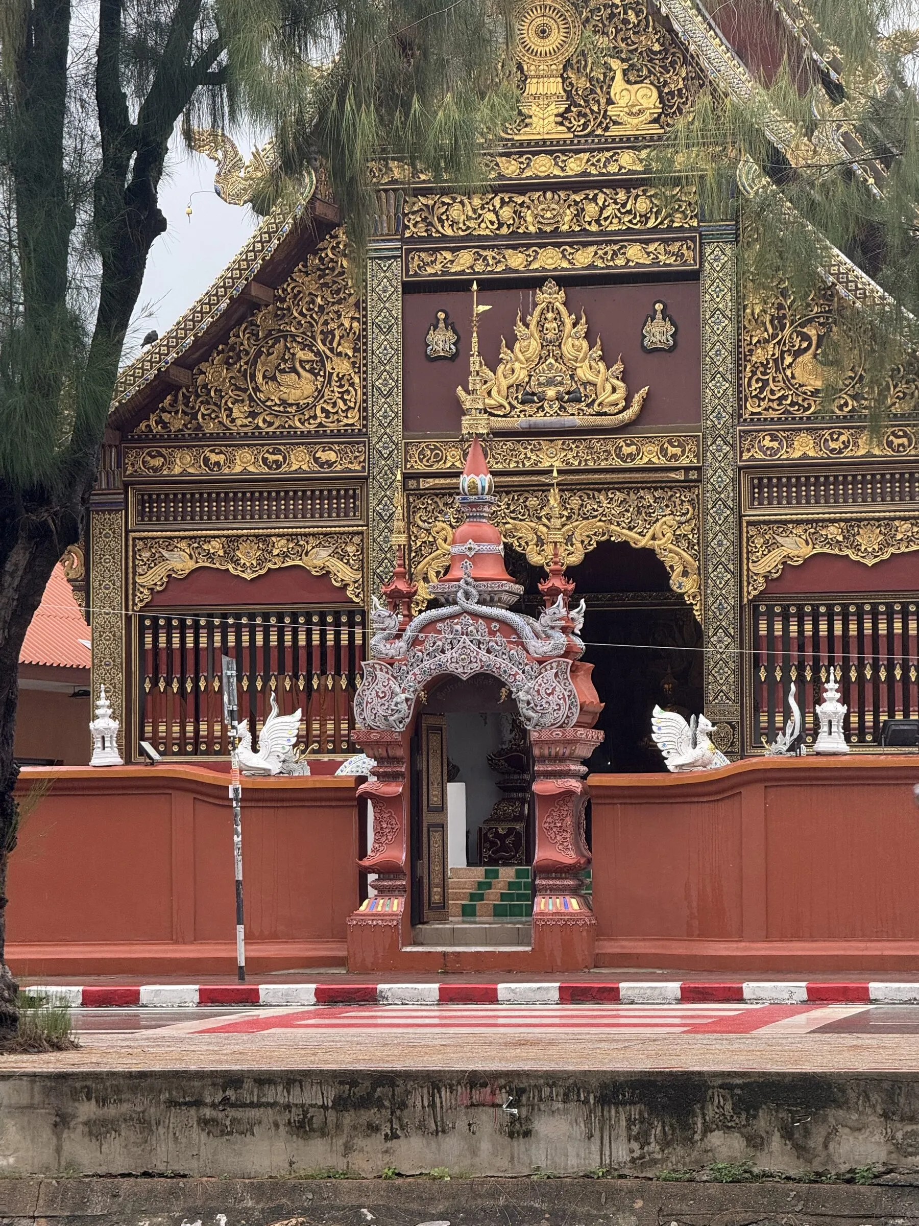 A quiet café scene in Chiang Mai