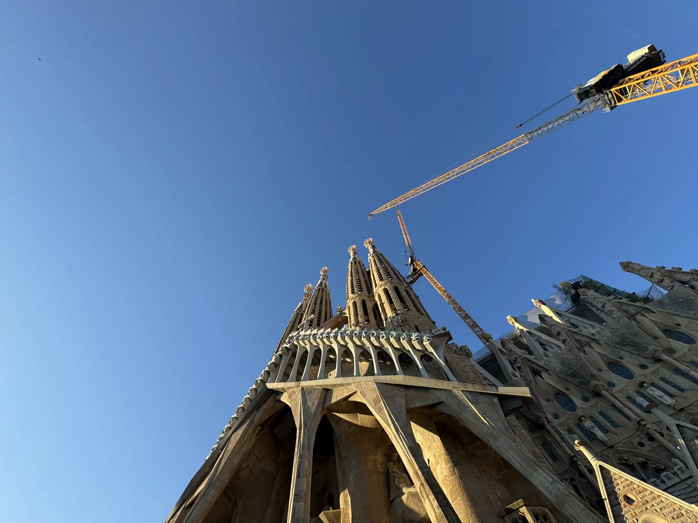 The Sagrada Família basilica in Barcelona seen from below