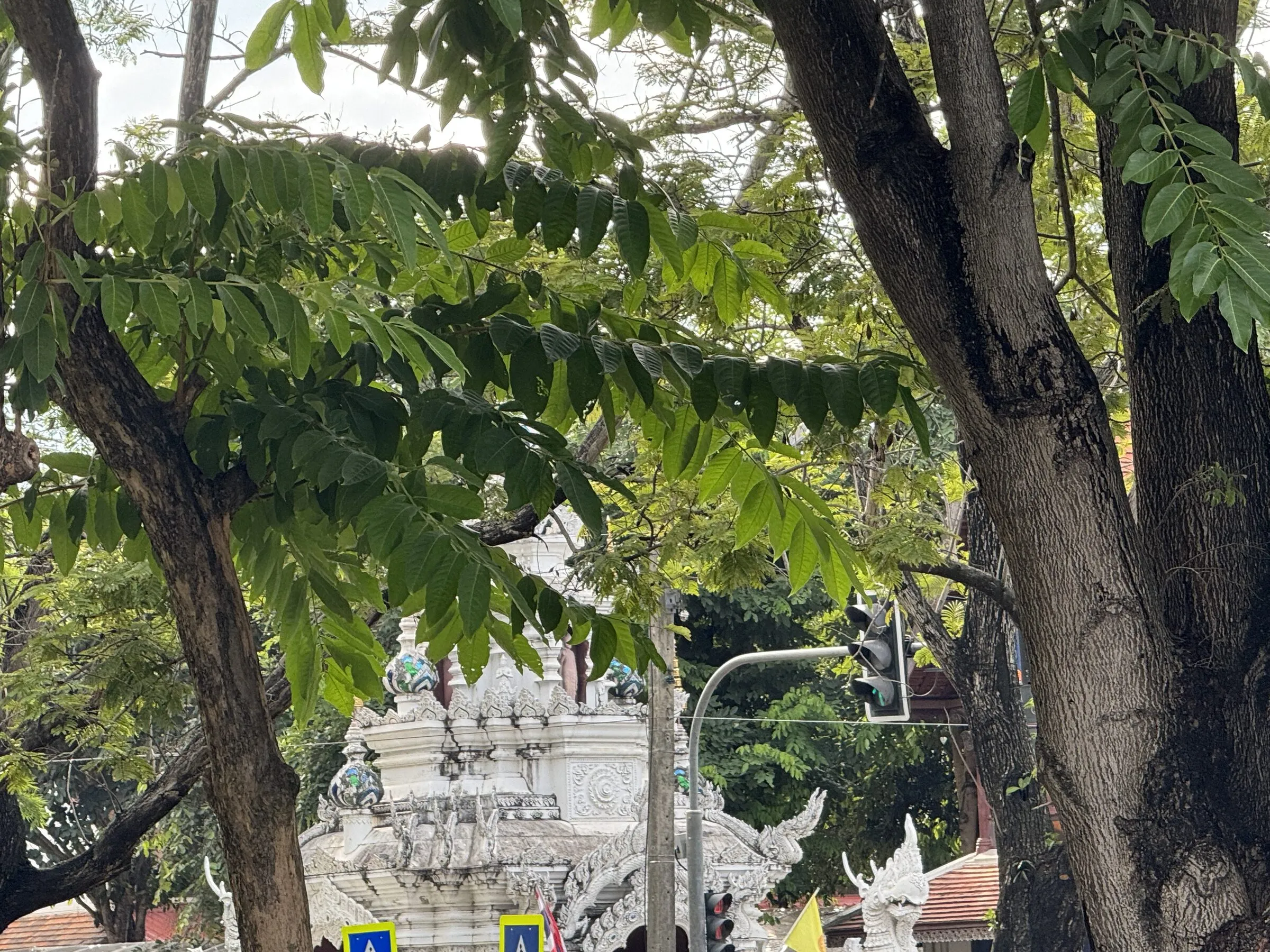 Grilled food and gilded temple carving in Chiang Mai
