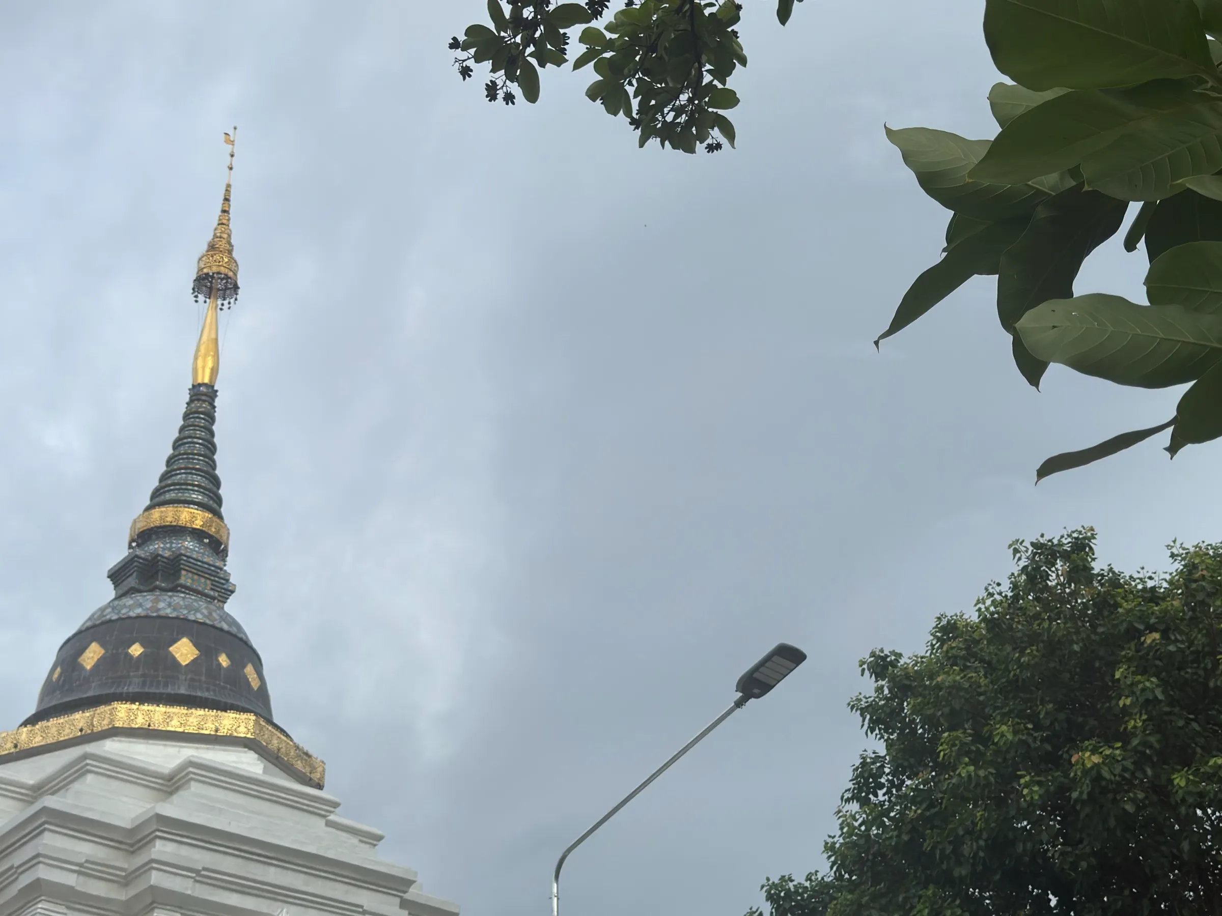A gold and black temple spire rising against an overcast Chiang Mai sky, framed by tree branches.